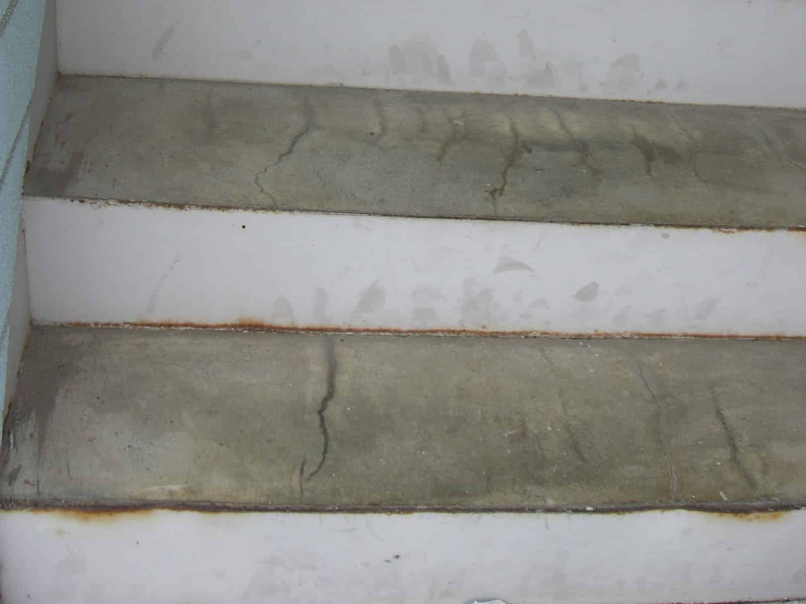 CIMG8675-2 | 外壁塗装は神奈川県横浜市の塗装職人