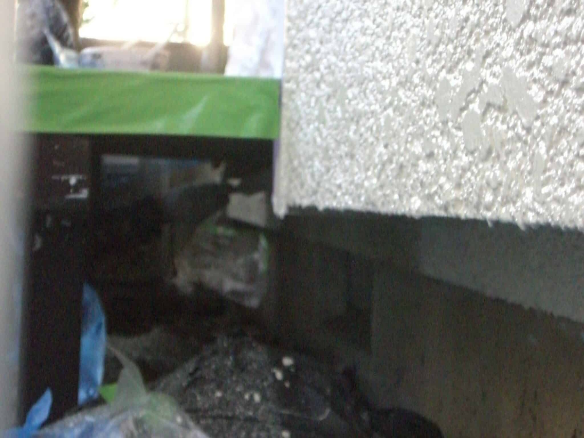 CIMG5512 | 外壁塗装は神奈川県横浜市の塗装職人