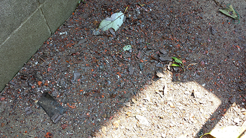 koushin_29kerengo | 外壁塗装は神奈川県横浜市の塗装職人 Gravel path edge beside a concrete wall with scattered leaves and a shadow on the ground.