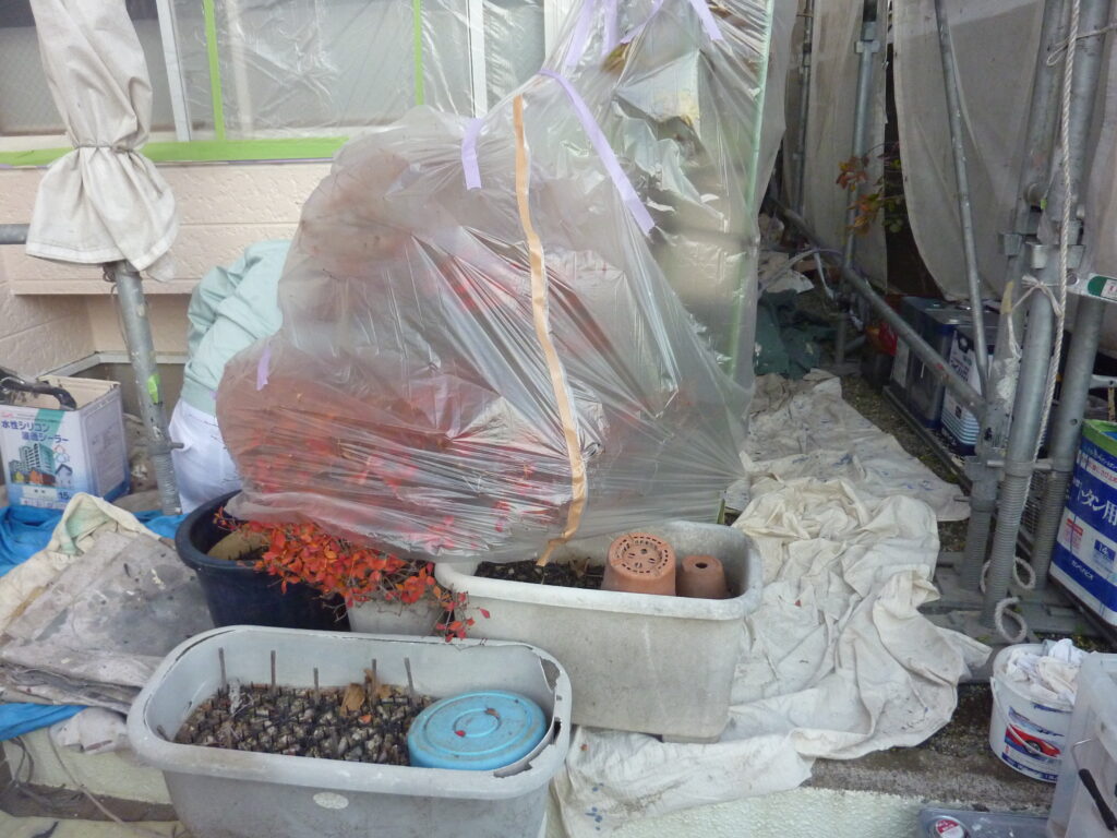 Construction area covered with clear plastic sheeting and orange straps, with plant pots and containers in the foreground.