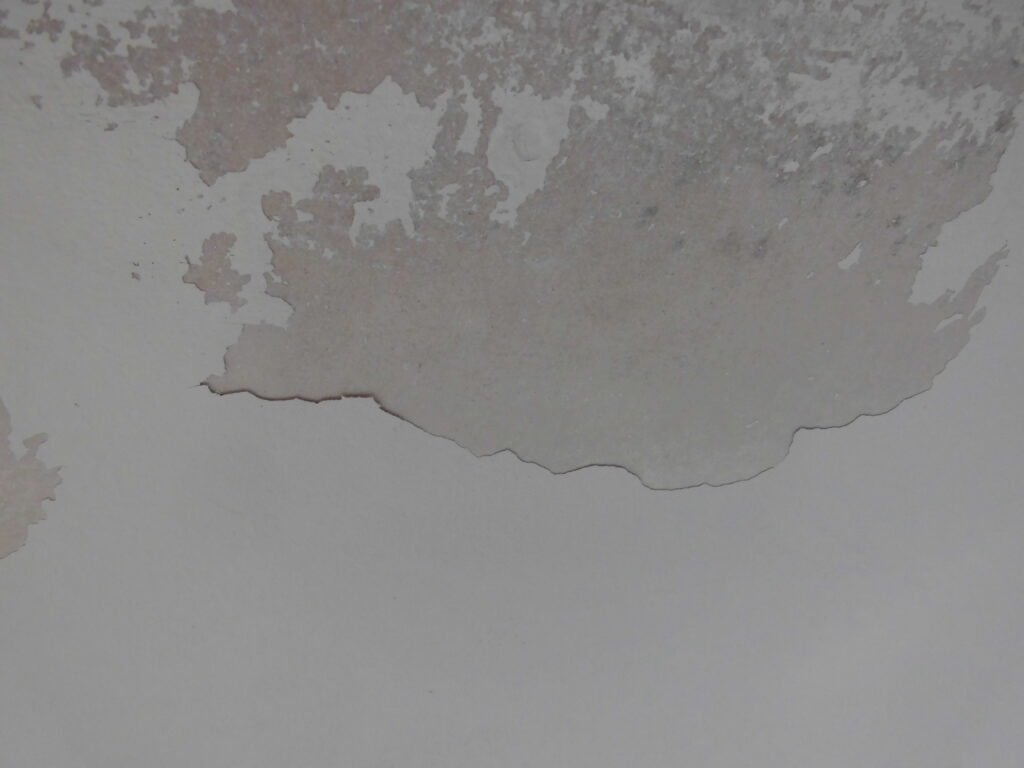 Wall surface with peeling paint revealing bare plaster underneath the damaged area.