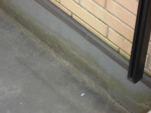 Damp concrete floor along a brick wall edge with dark green mold or grime buildup near the baseboard/rail.