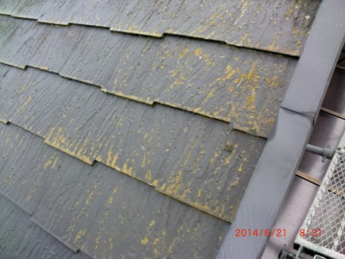 Sloped roof with dark gray shingles showing yellow moss/lichen stains, with a gray gutter along the edge on the right side.