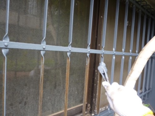 Gloved hand with a tool prying at a metal security grille over a window in close-up.