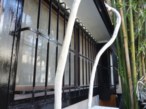 White drain hose loops around the side of a window air conditioner mounted in a wall, with black metal bars and bamboo plants nearby.