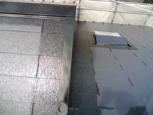 koushin_CIMG2599-1 | 外壁塗装は神奈川県横浜市の塗装職人 Rooftop view: left side dark shingles, right side smooth gray roof panels with a small skylight opening.