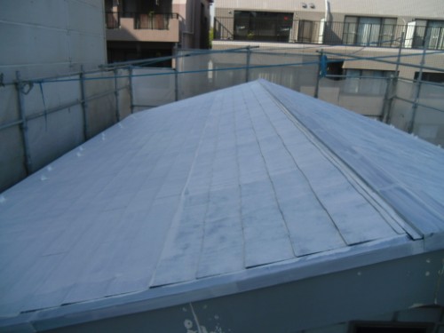 koushin_CIMG2931-1 | 外壁塗装は神奈川県横浜市の塗装職人 Blue metal rooftop with seam panels viewed from above, surrounded by safety rails and nearby buildings in the background.