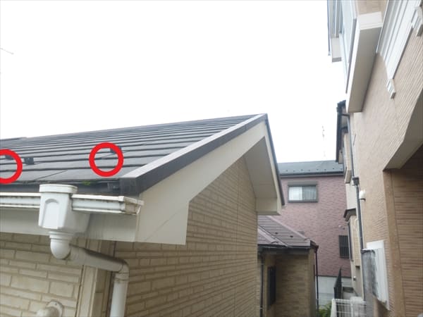 16482_13 | 外壁塗装は神奈川県横浜市の塗装職人