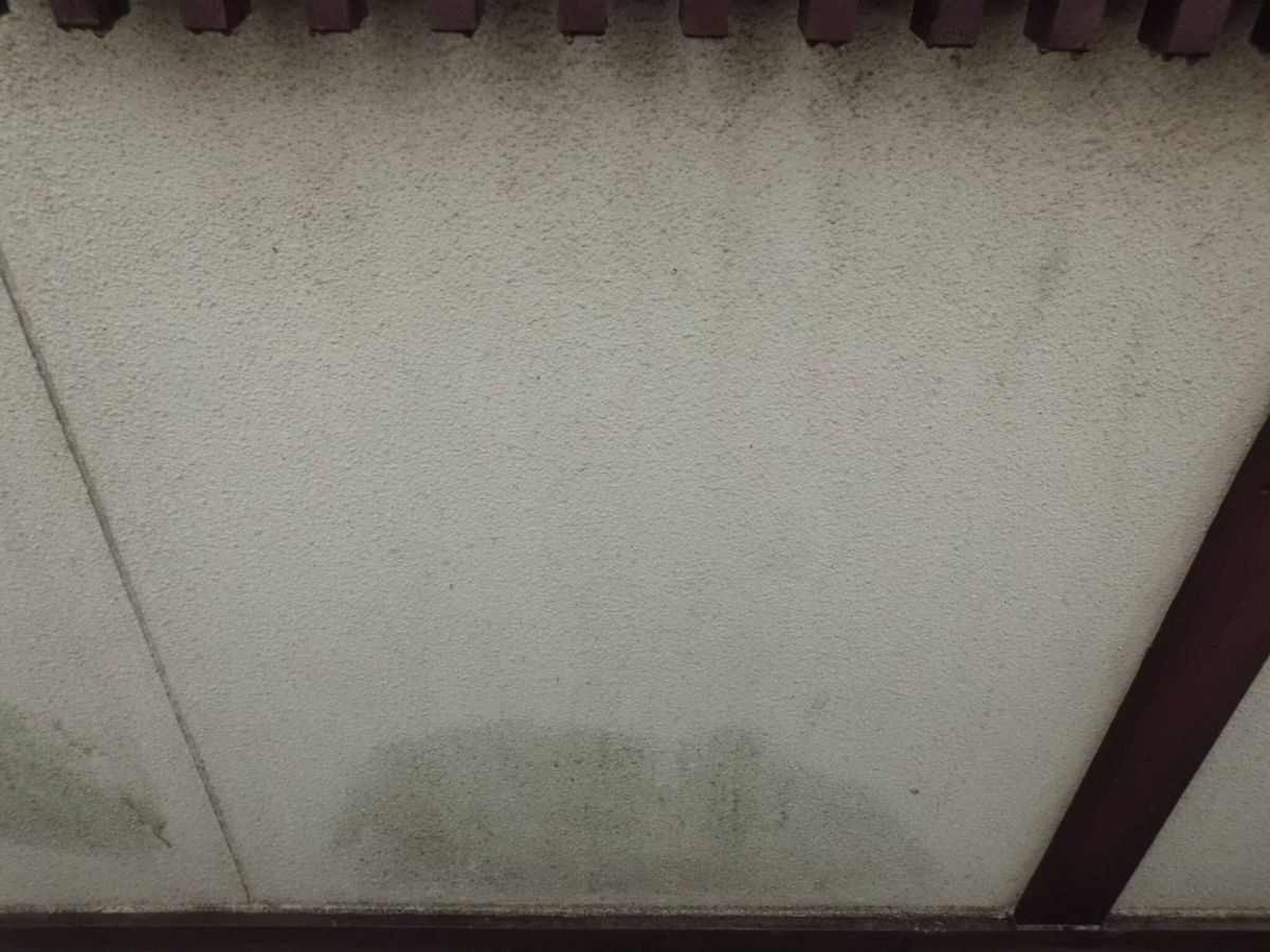 CIMG9785-scaled | 外壁塗装は神奈川県横浜市の塗装職人