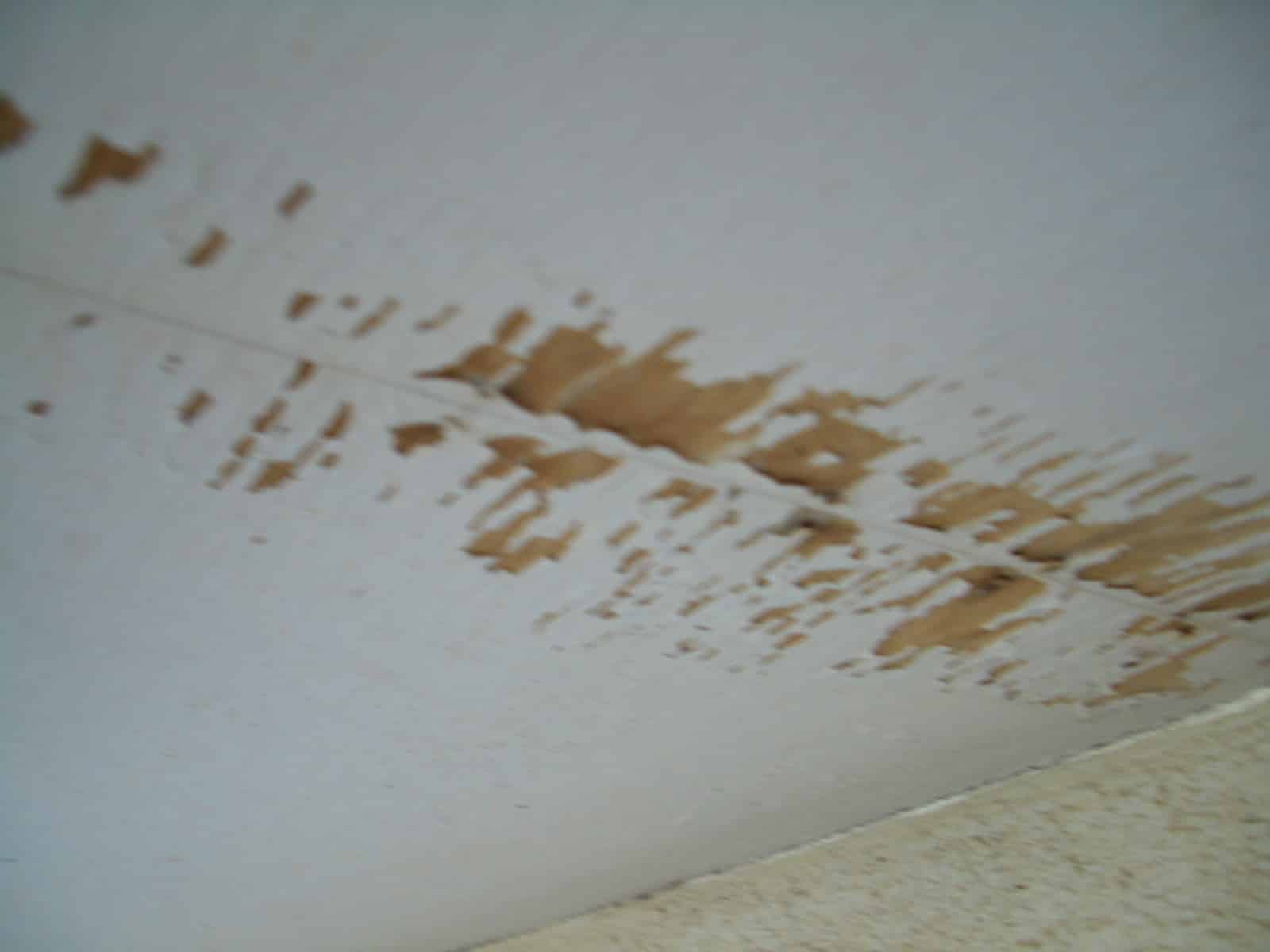 Close-up of a light gray wall with brown paint peeling in patches on a curved surface.