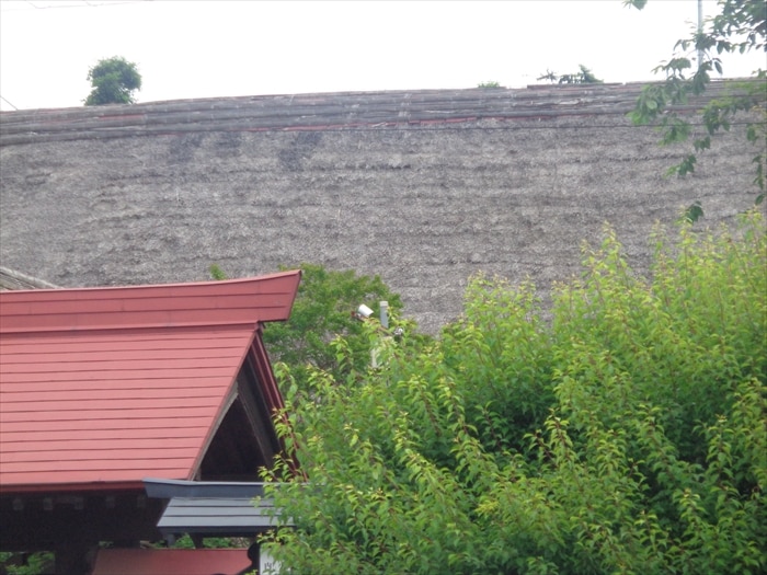 DSC00278 | 外壁塗装は神奈川県横浜市の塗装職人