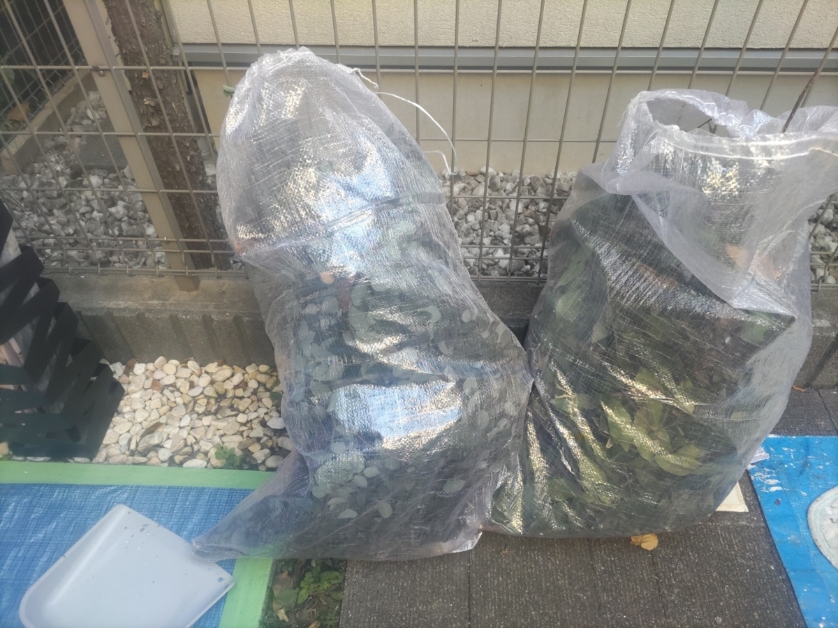 DCP PHOTO | 外壁塗装は神奈川県横浜市の塗装職人