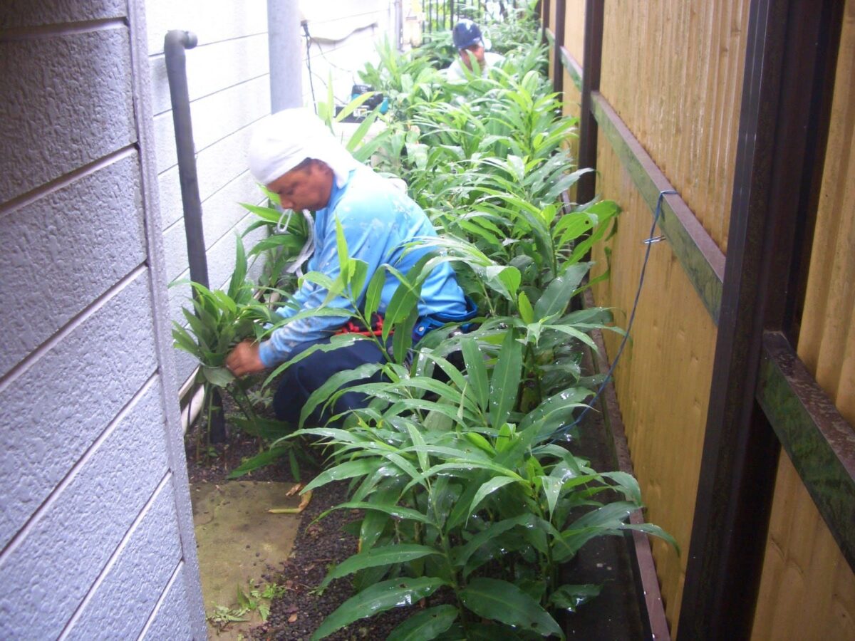 asahi_022 | 外壁塗装は神奈川県横浜市の塗装職人