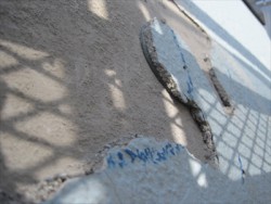 reinforced concrete-tosou (9)