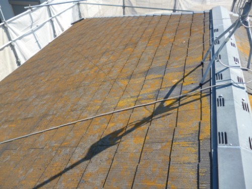 横浜市瀬谷区：コケの付着した屋根