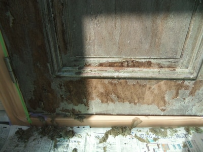 ニスがバリバリにはがれた玄関扉の再生塗装