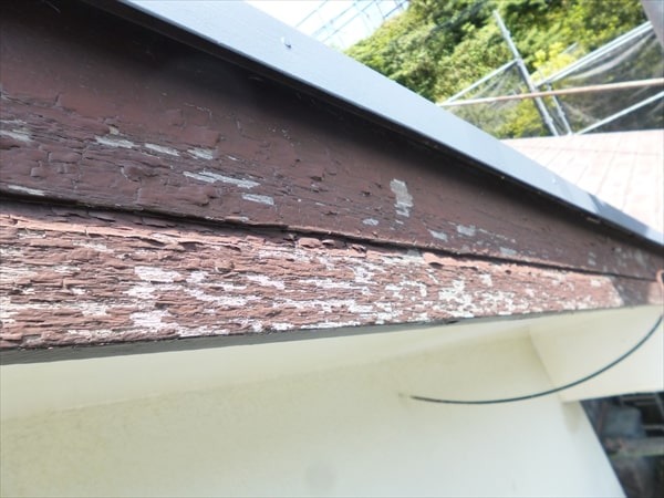 屋根の下塗りとサイディングシール、横須賀に飛んで木部の劣化部の確認。