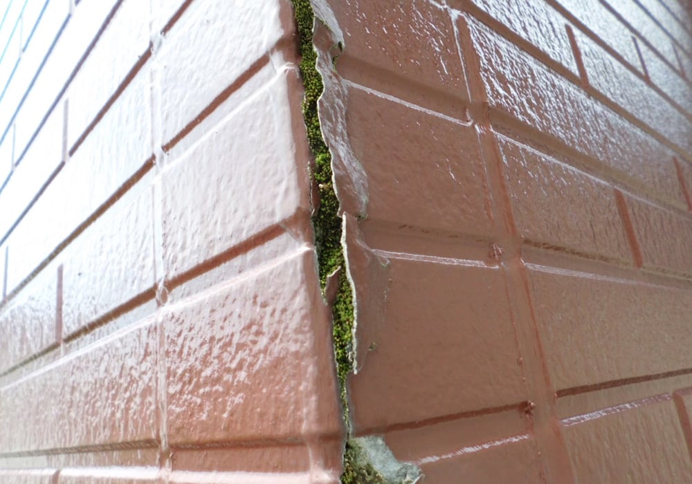 サイディング外壁内部からの藻の発生